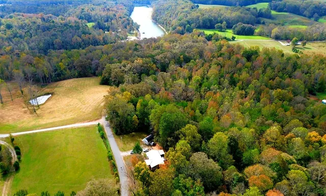 a view of a garden with plants