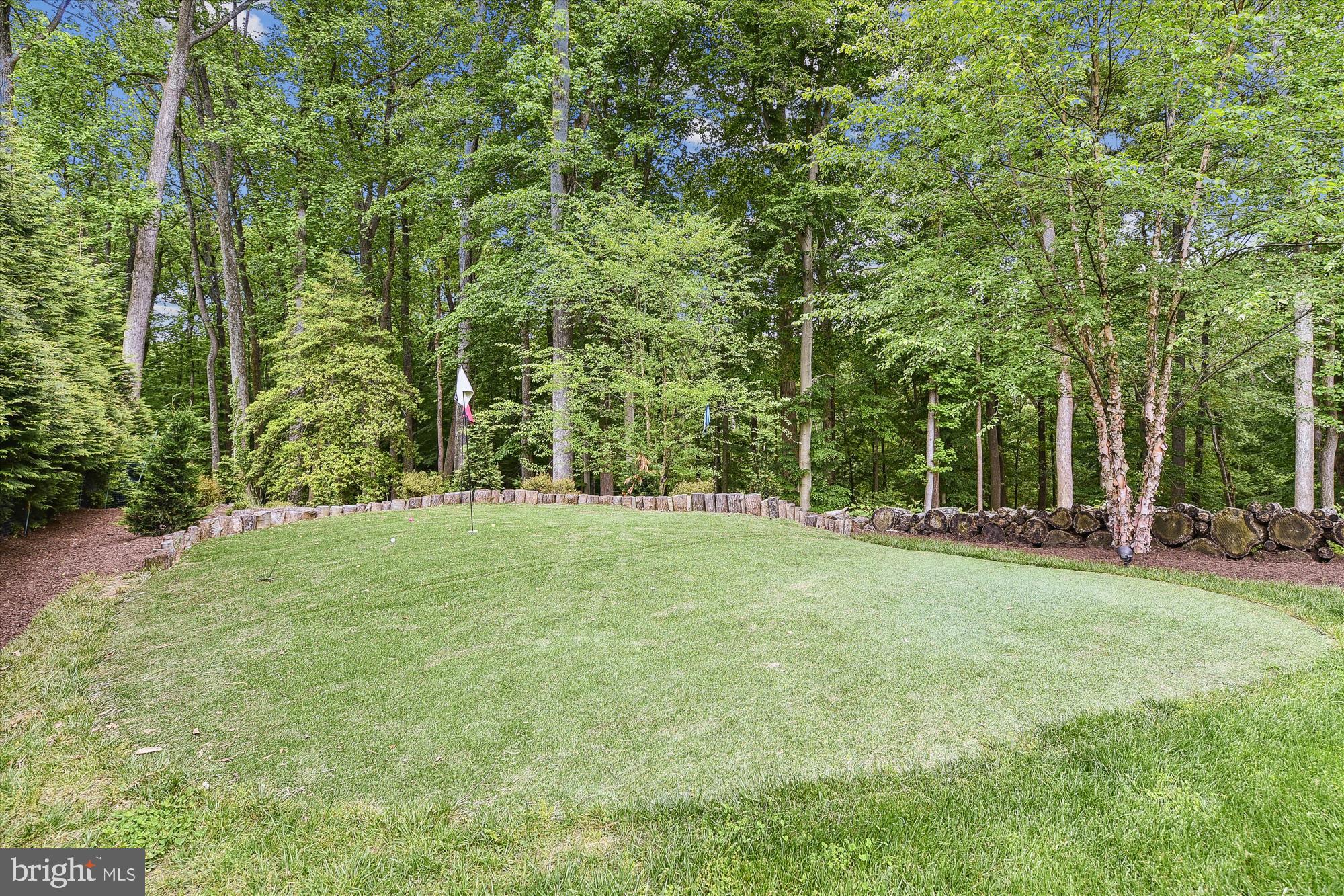 917 Sahlin Farm Road Annapolis, MD 21401 - Photo 10 of 50 Putting green
