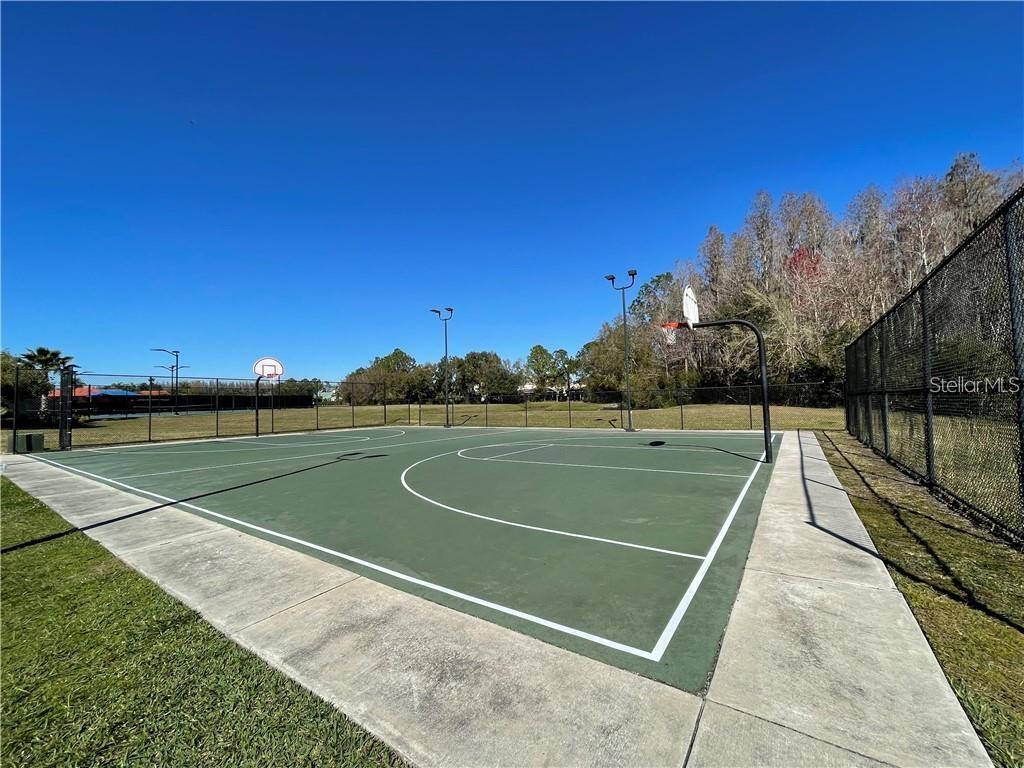 18044 Java Isle Drive Tampa, FL 33647 - Photo 29 of 38