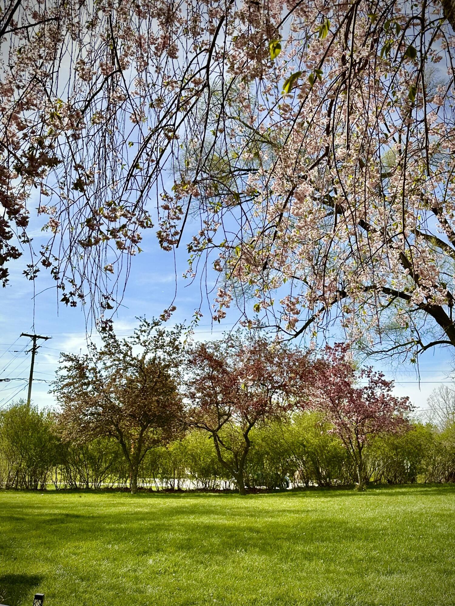 18315 Cavanaugh Lake Road Chelsea, MI 48118 - Photo 6 of 22 6