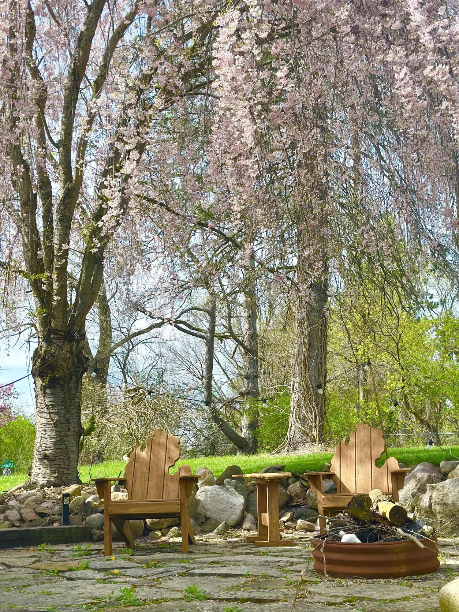 18315 Cavanaugh Lake Road Chelsea, MI 48118 - Photo 7 of 22 7