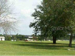 11435 Southeast 108th Terrace Road Belleview, FL 34420 - Photo 1 of 1 Primary Photo
