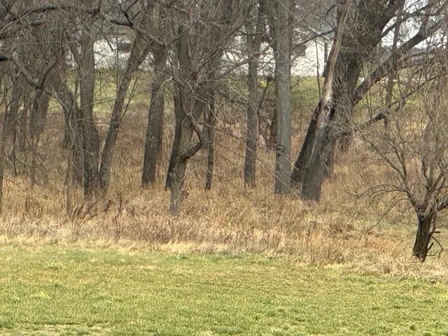 $459,900 | 0 Hwy 80 S Richland Center, Richland Center, WI 53581