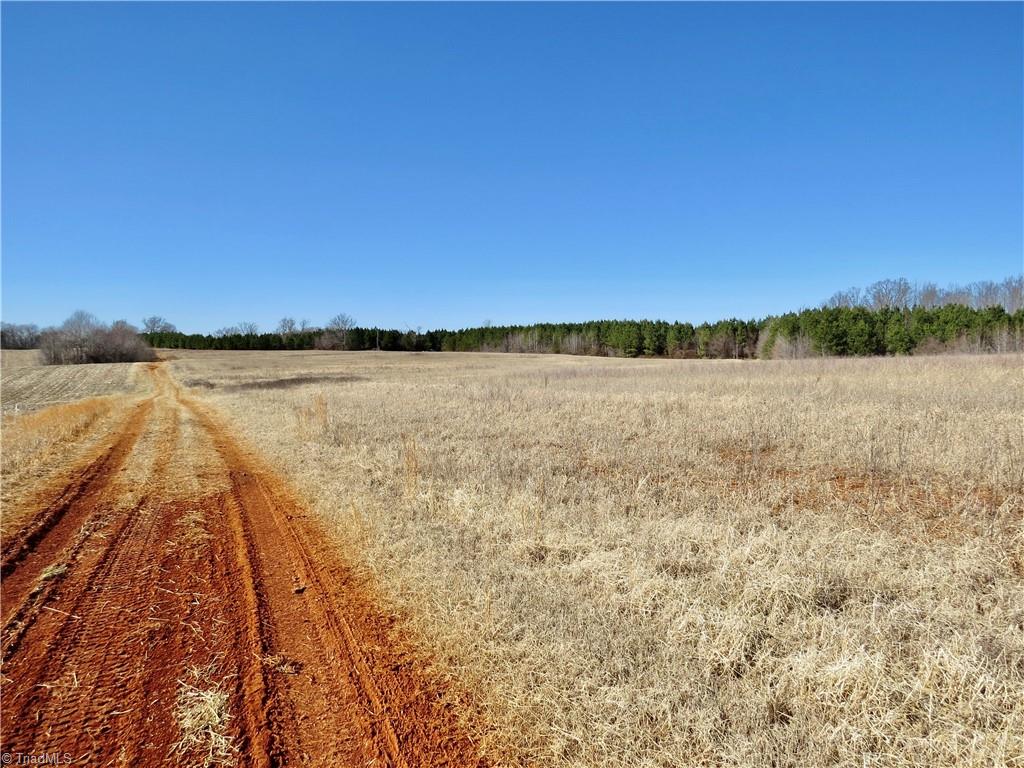 333 Haw Road Browns Summit, NC 27214 - Photo 11 of 44 Field 2 view from rear property line toward Haw road and a view of the farm road for access