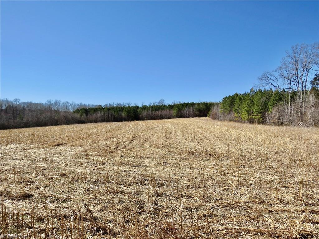 333 Haw Road Browns Summit, NC 27214 - Photo 14 of 44 Field 1 additional view