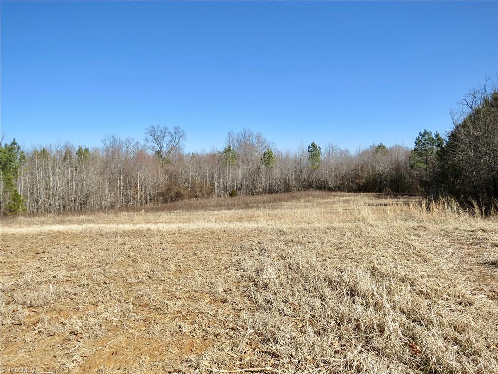 333 Haw Road Browns Summit, NC 27214 - Photo 15 of 44 Field 1 Additional view