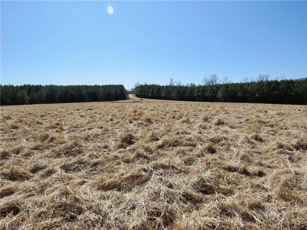 333 Haw Road Browns Summit, NC 27214 - Photo 16 of 44 Field 1 additional view