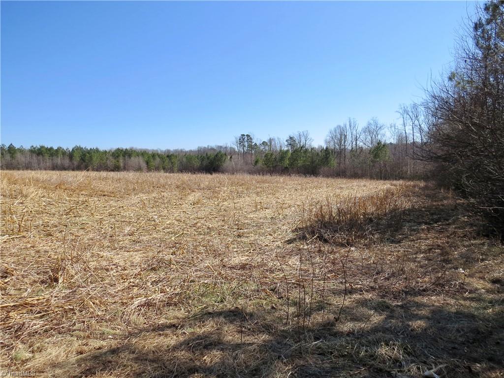 333 Haw Road Browns Summit, NC 27214 - Photo 17 of 44 Field 1 additional view