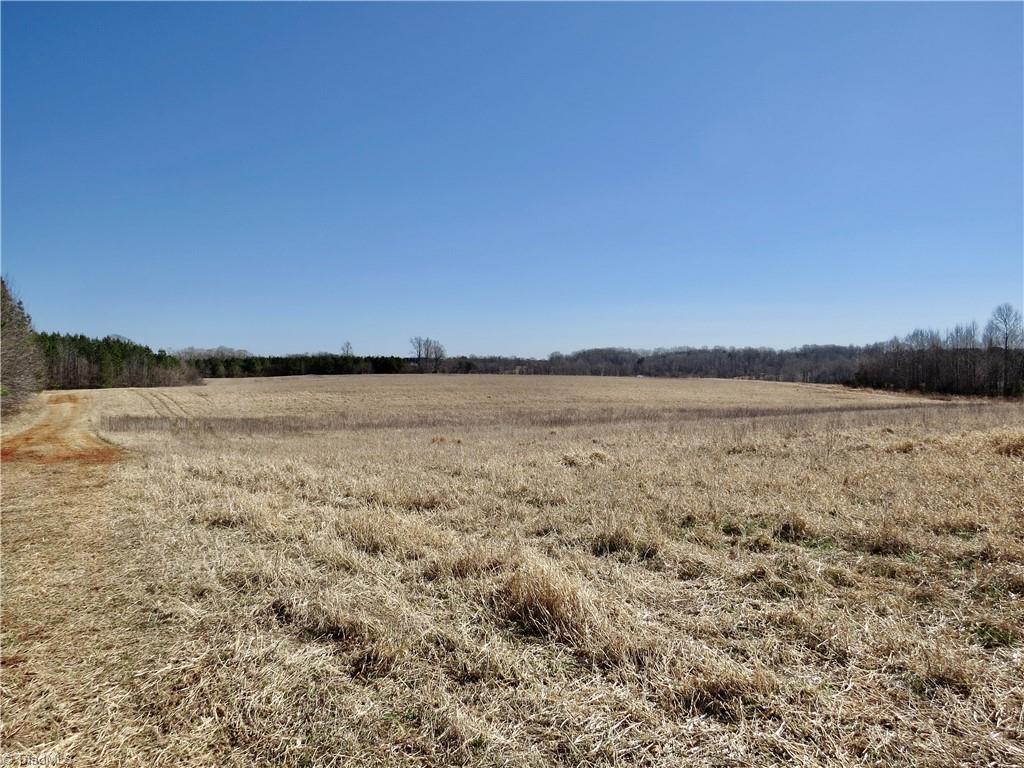 333 Haw Road Browns Summit, NC 27214 - Photo 2 of 44 Field 2 additional view and farm road