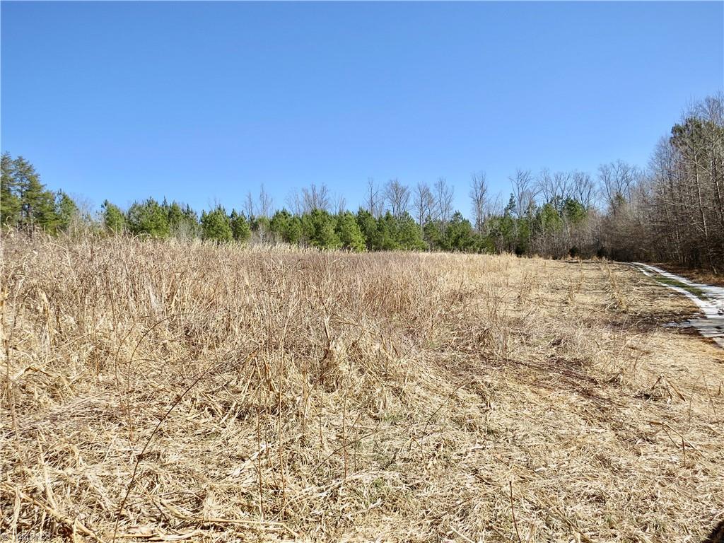333 Haw Road Browns Summit, NC 27214 - Photo 21 of 44 Field 3 additional view and farm road around the edge of field