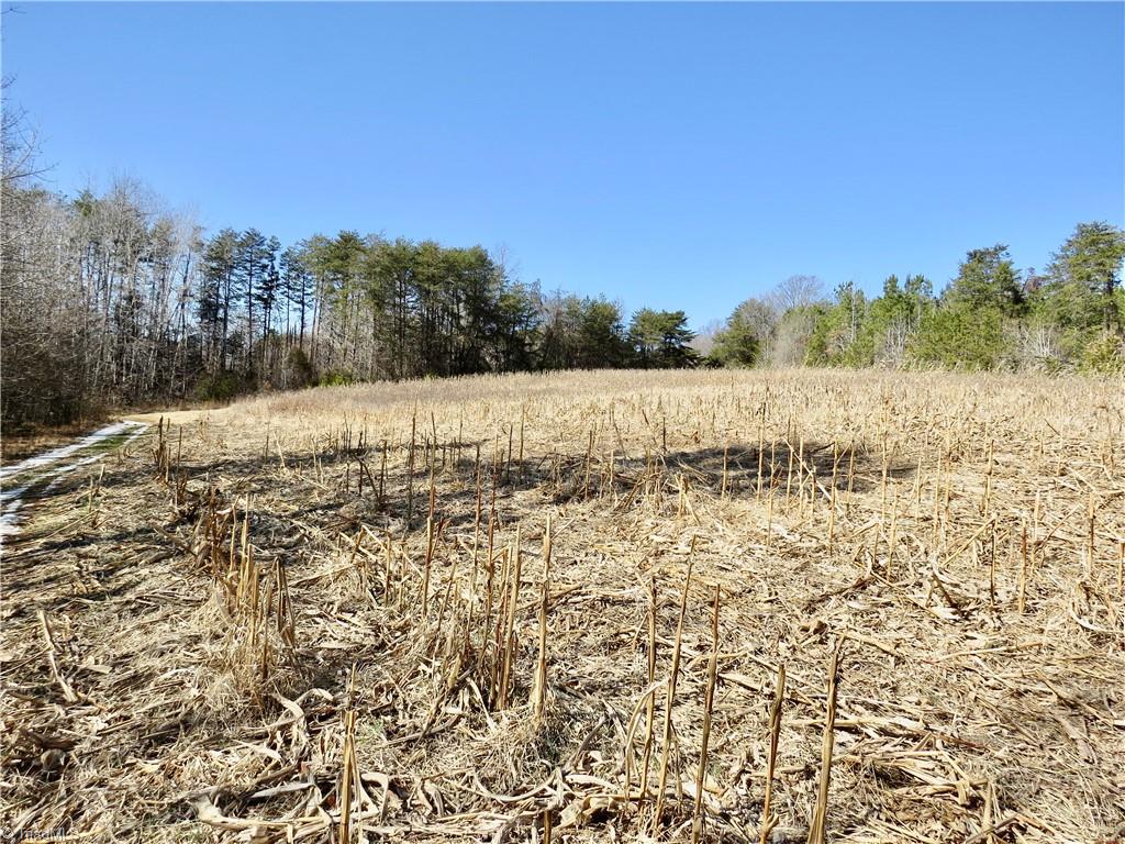 333 Haw Road Browns Summit, NC 27214 - Photo 22 of 44 Field 3 additional view