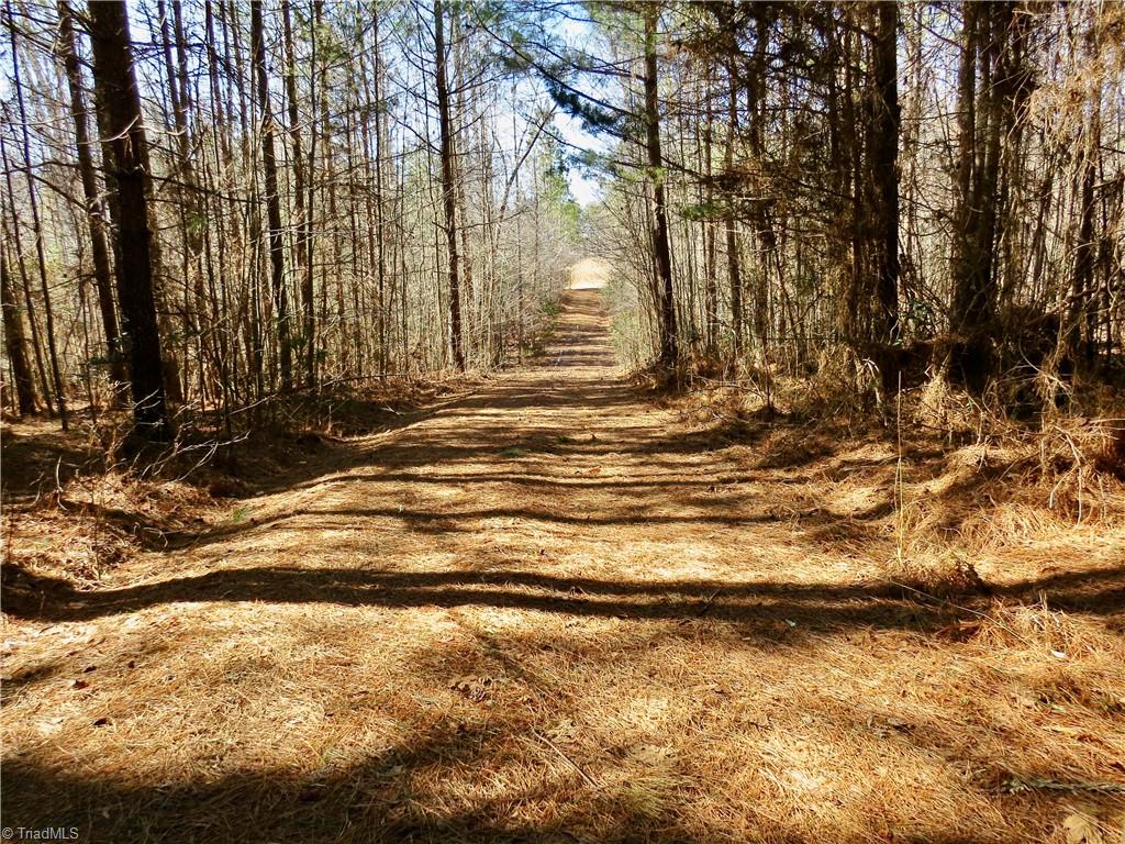 333 Haw Road Browns Summit, NC 27214 - Photo 23 of 44 Farm road leading to fields 3-4