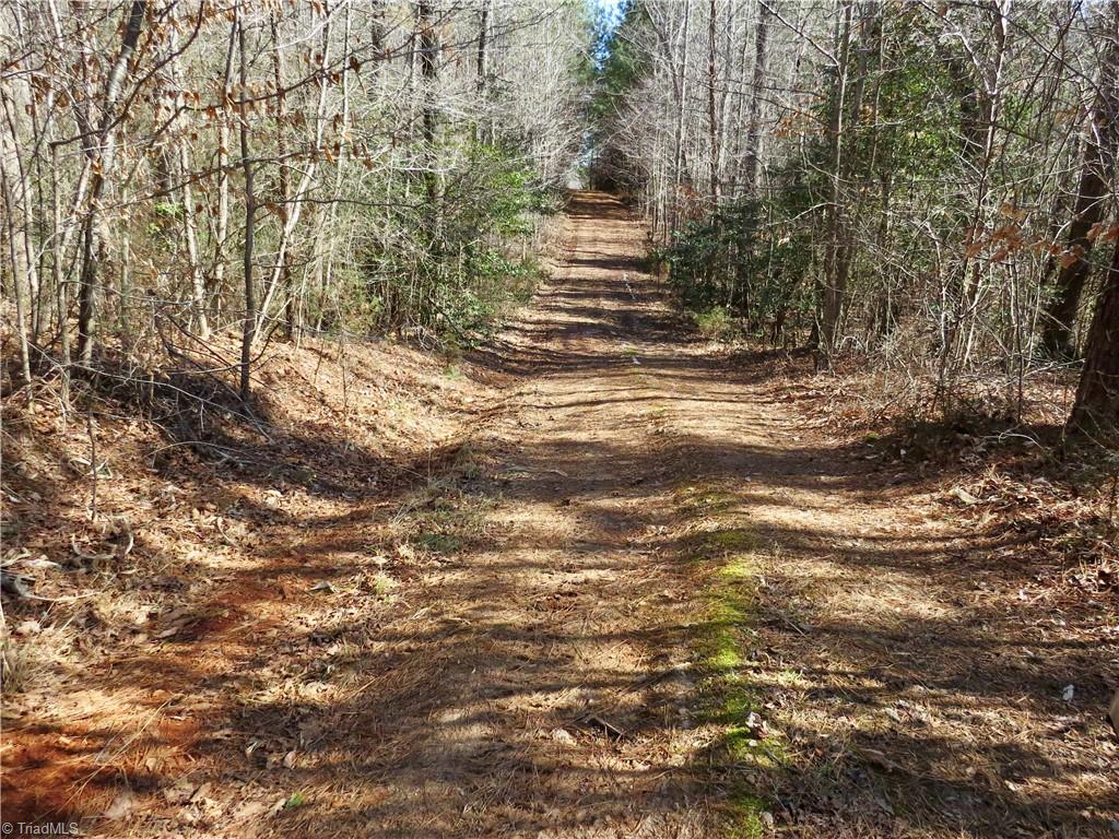333 Haw Road Browns Summit, NC 27214 - Photo 24 of 44 Farm road between fields 3-4