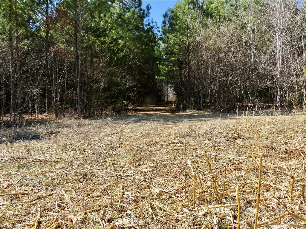 333 Haw Road Browns Summit, NC 27214 - Photo 26 of 44 Field 4 with the old farm road for access