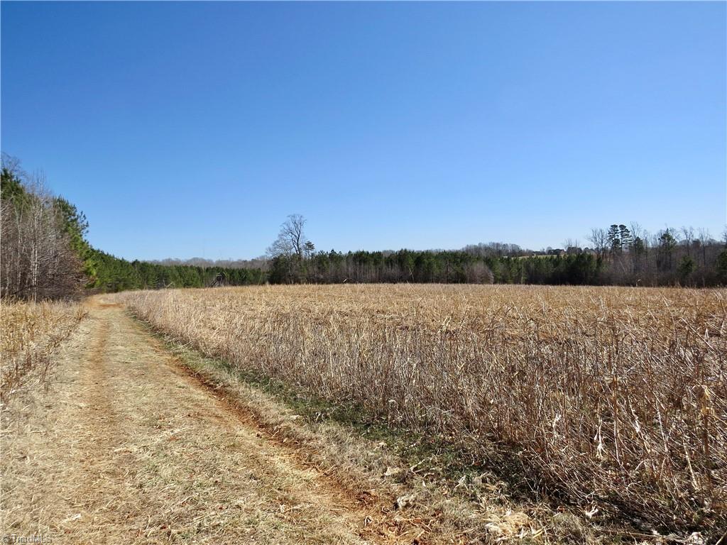 333 Haw Road Browns Summit, NC 27214 - Photo 27 of 44 Field 4 and farm road leading to dear blind and access to Haw River