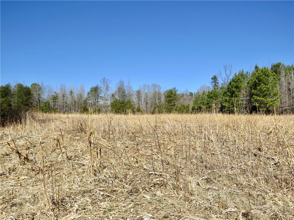 333 Haw Road Browns Summit, NC 27214 - Photo 28 of 44 Field 4 on the left side of the property