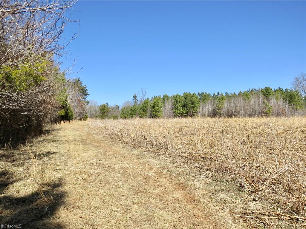 333 Haw Road Browns Summit, NC 27214 - Photo 29 of 44 Field 4 additional view