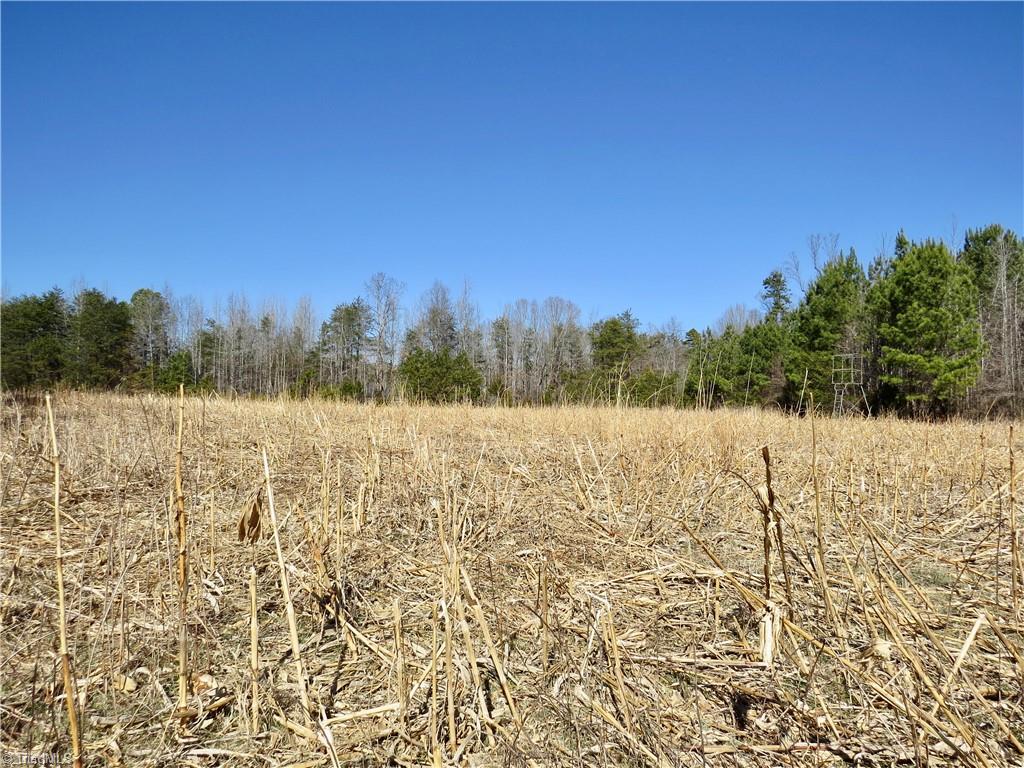 333 Haw Road Browns Summit, NC 27214 - Photo 30 of 44 Additional view of field 4