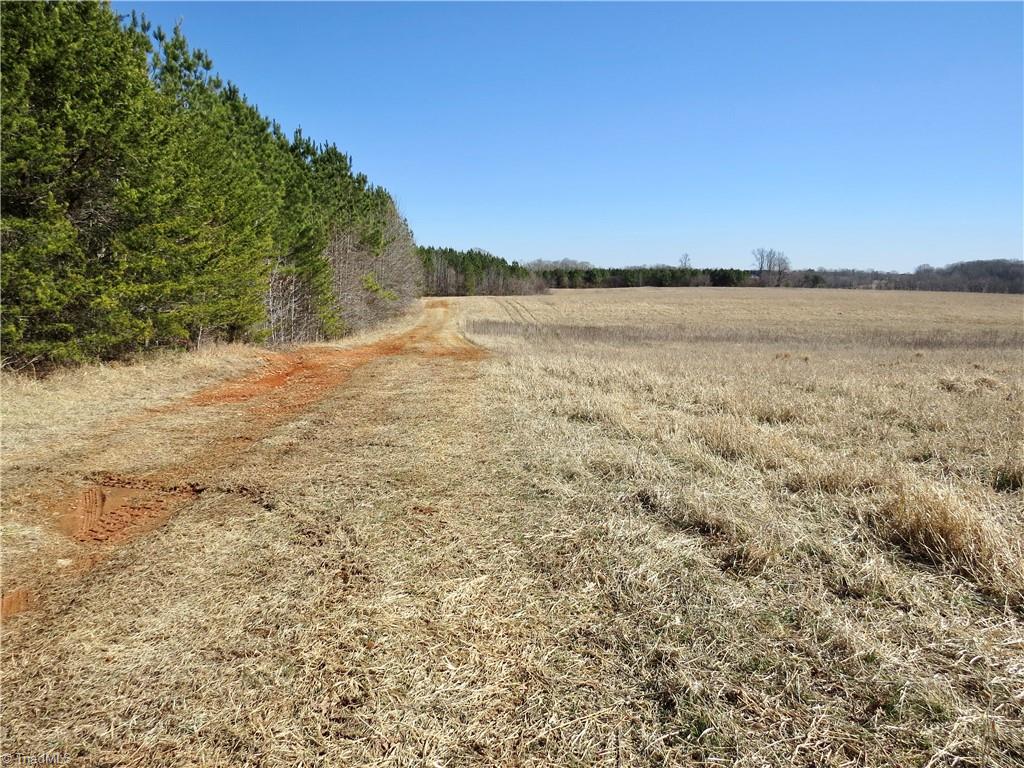 333 Haw Road Browns Summit, NC 27214 - Photo 3 of 44 From Haw road at the beginning of field 2 and old farm road for access
