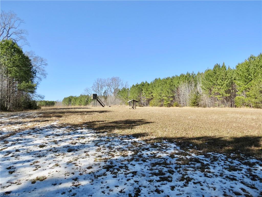 333 Haw Road Browns Summit, NC 27214 - Photo 31 of 44 Field 4 with Dear Blind