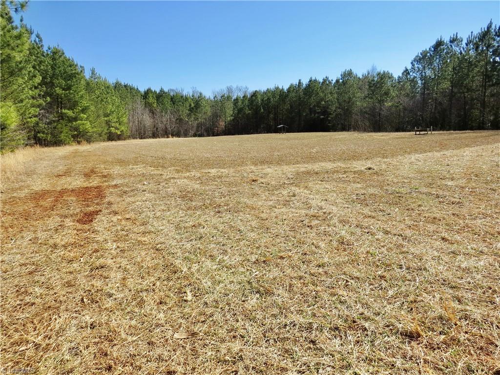 333 Haw Road Browns Summit, NC 27214 - Photo 32 of 44 Field 4 view of back left corner