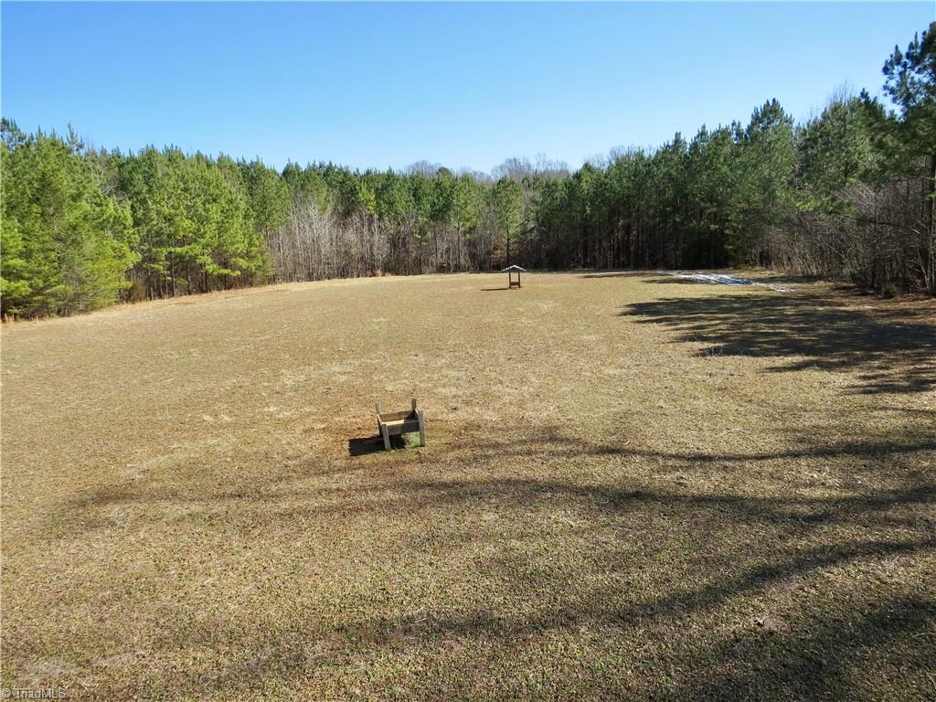 333 Haw Road Browns Summit, NC 27214 - Photo 33 of 44 Additional view of Small portion of field 4