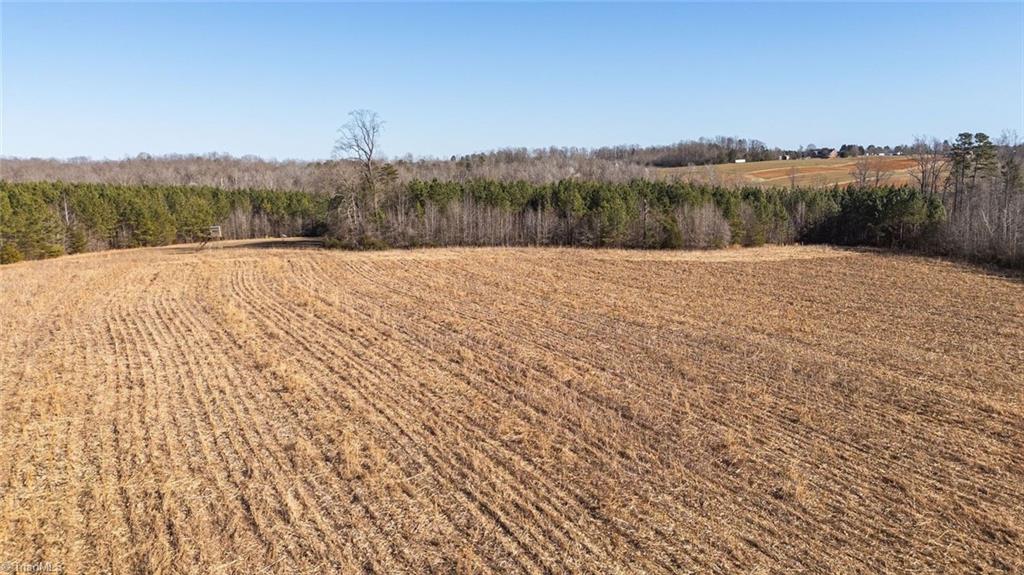 333 Haw Road Browns Summit, NC 27214 - Photo 35 of 44 Additional view of Field 4