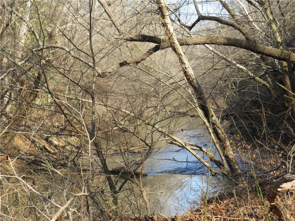333 Haw Road Browns Summit, NC 27214 - Photo 40 of 44 Haw River and back left property line