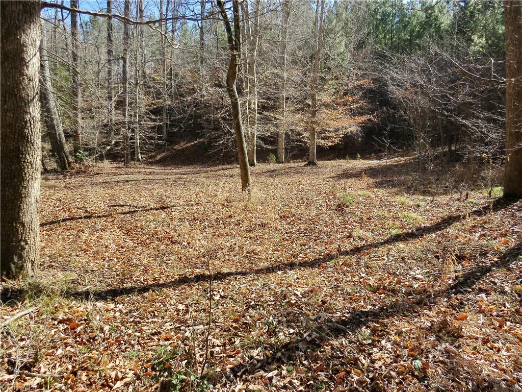 333 Haw Road Browns Summit, NC 27214 - Photo 41 of 44 Area adjoining the Haw river at rear of property