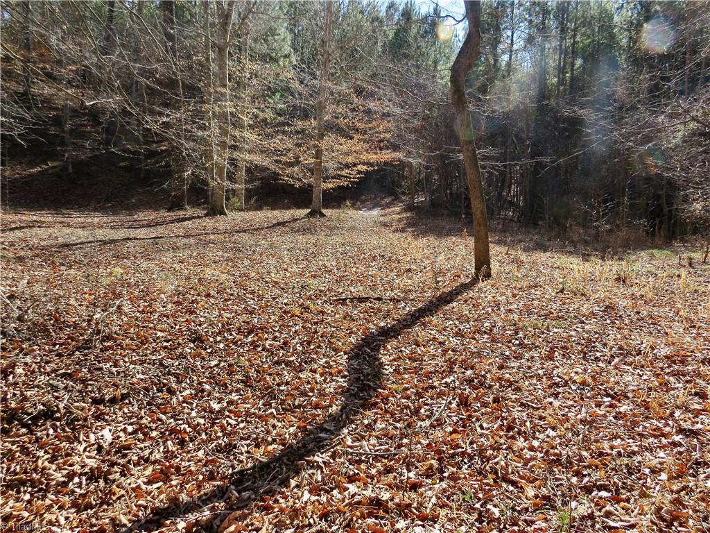 333 Haw Road Browns Summit, NC 27214 - Photo 42 of 44 Area near the Haw River