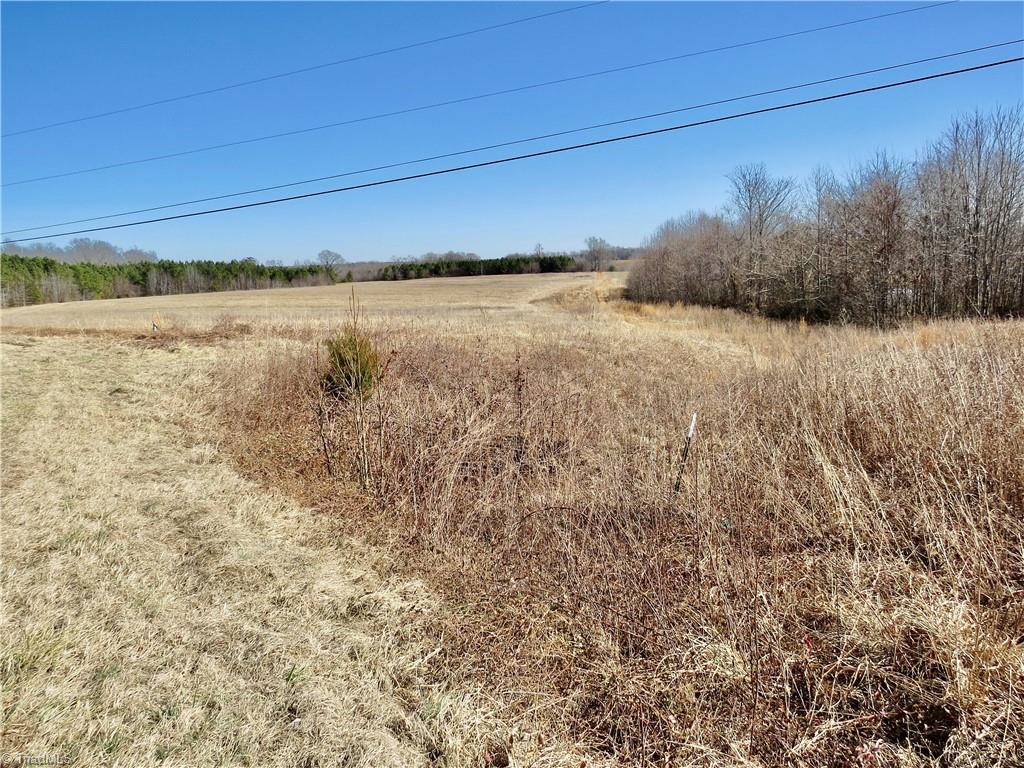 333 Haw Road Browns Summit, NC 27214 - Photo 6 of 44 Field 2 at the front right property corner