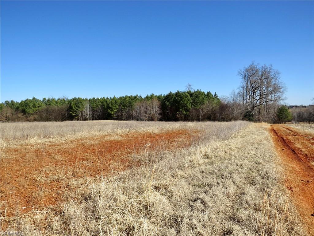 333 Haw Road Browns Summit, NC 27214 - Photo 7 of 44 Field 2 at the rear of the field