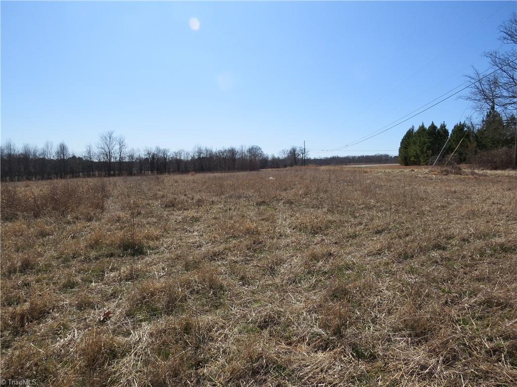 333 Haw Road Browns Summit, NC 27214 - Photo 8 of 44 Field 2 additional view