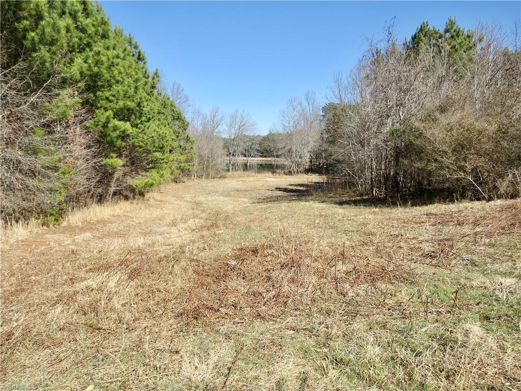 333 Haw Road Browns Summit, NC 27214 - Photo 9 of 44 Smaller portion of field 2 near the left property line