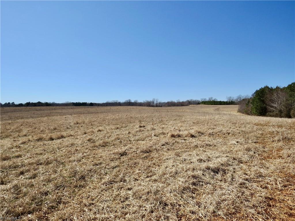 333 Haw Road Browns Summit, NC 27214 - Photo 10 of 44 Field 2 from rear looking toward Haw road