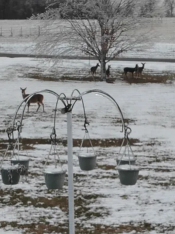 a view of yard with swimming pool and green space
