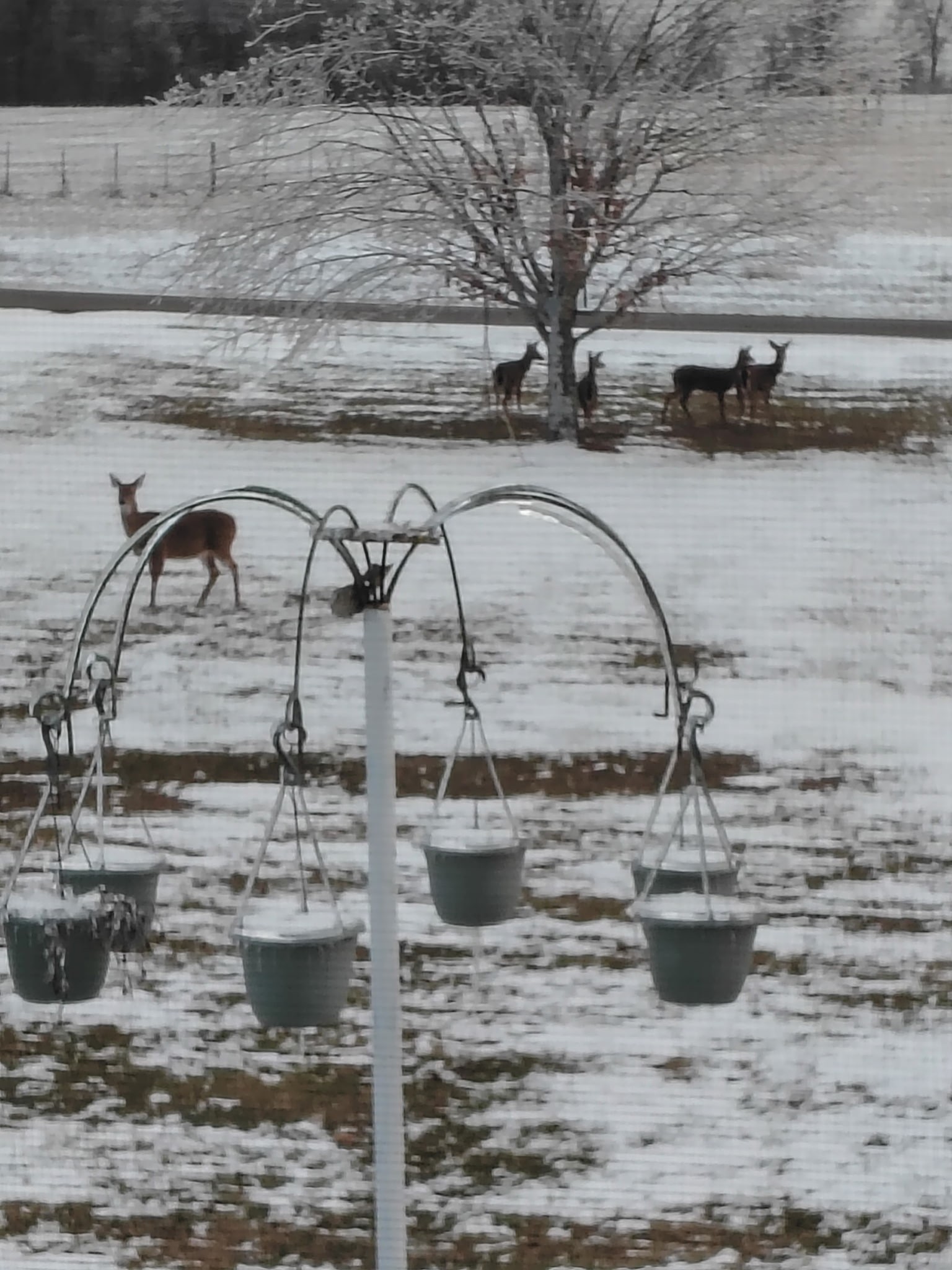 417 Buttermilk Hollow Road Bethpage, TN 37022 - Photo 2 of 33