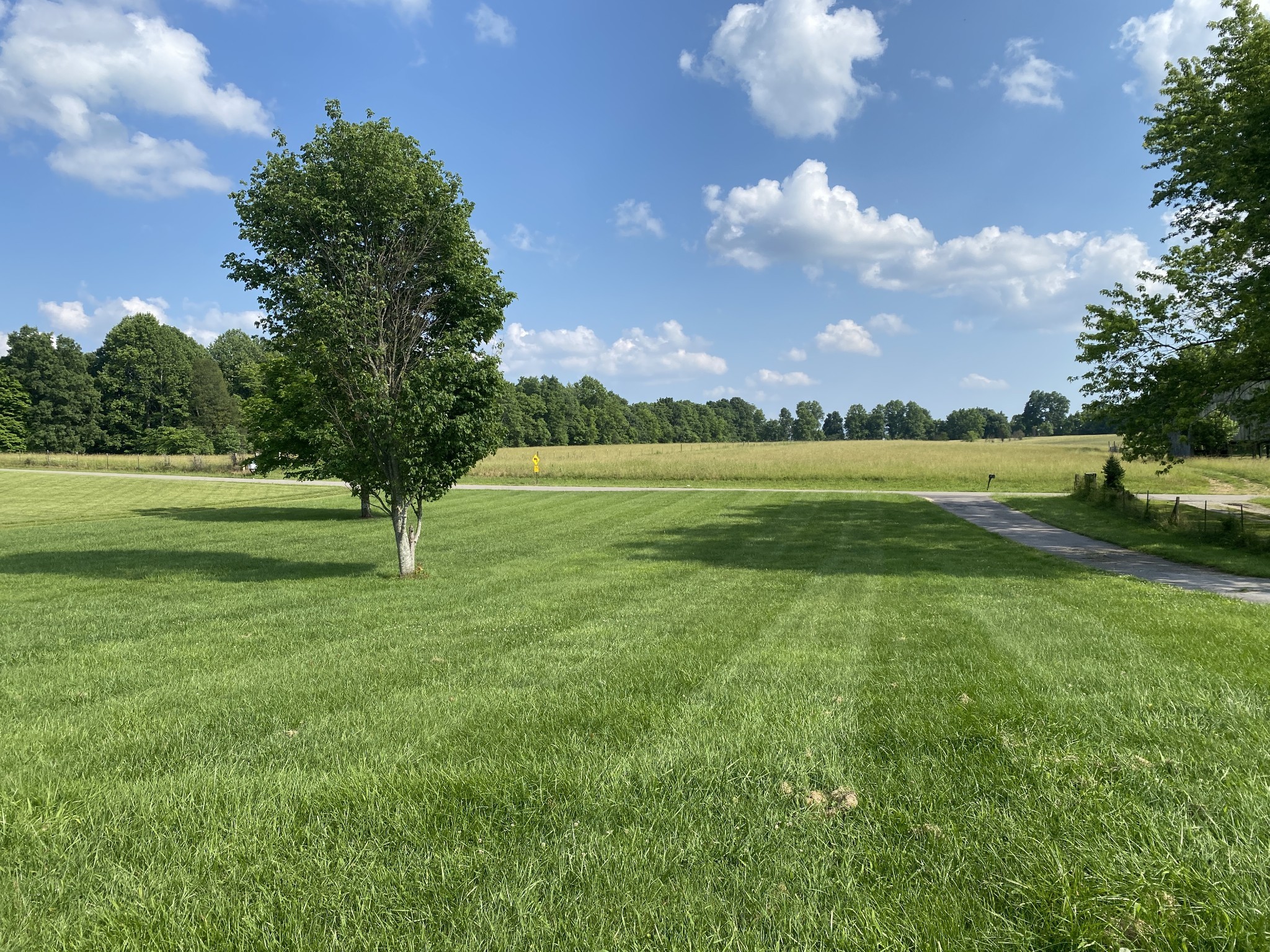 417 Buttermilk Hollow Road Bethpage, TN 37022 - Photo 5 of 33 a view of a golf course with a lake