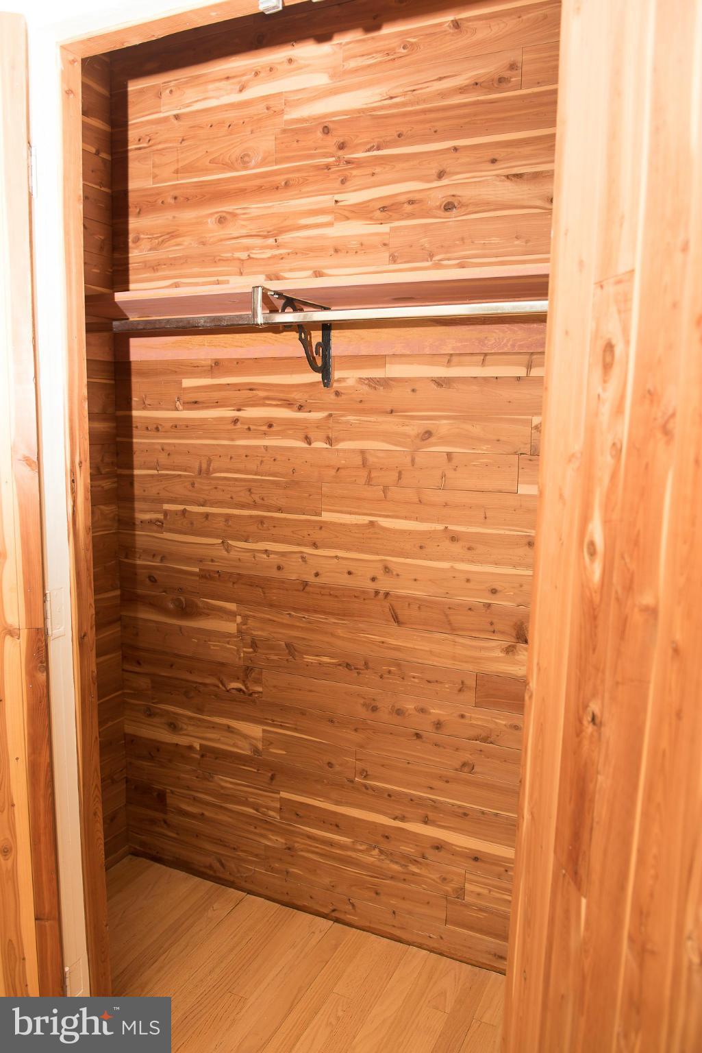 511 Surrey Road Lutherville-Timonium, MD 21093 - Photo 14 of 22 Cedar Closet