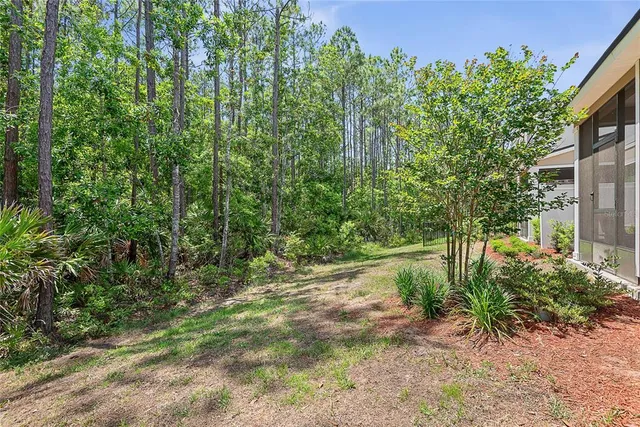 a view of a yard with plants and large trees