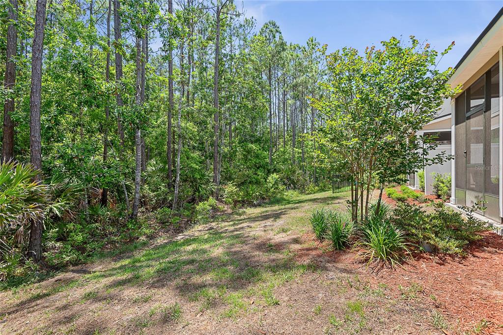 309 Redbud Road Palm Coast, FL 32137 - Photo 33 of 33 a view of a yard with plants and large trees