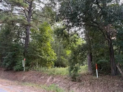 $125,000 | Tbd Tbd Cole Road, Kinder, LA 70648
