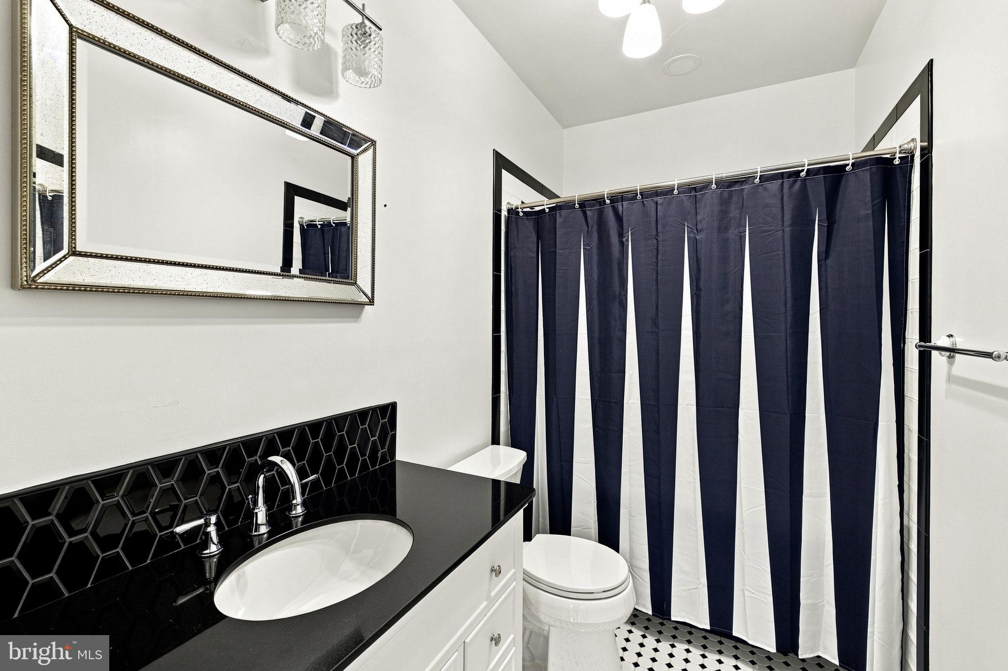 1245 Parish Road Reva, VA 22735 - Photo 39 of 70 Full Bathroom Lower Level