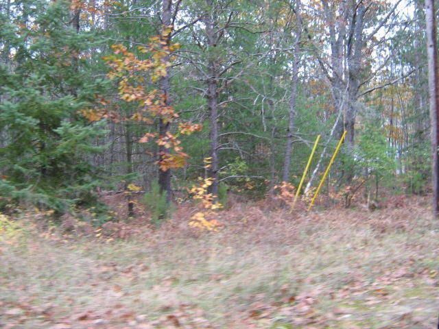 Devereaux Road Indian River, MI 49749 - Photo 5 of 8 Gallery Image 5