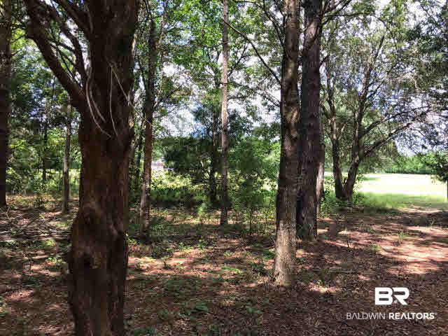15130 Vasko Road Silverhill, AL 36576 - Photo 8 of 9