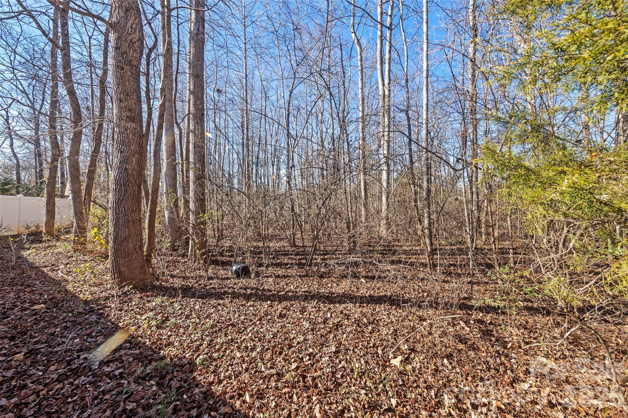 3216 Sage Drive York, SC 29745 - Photo 45 of 47