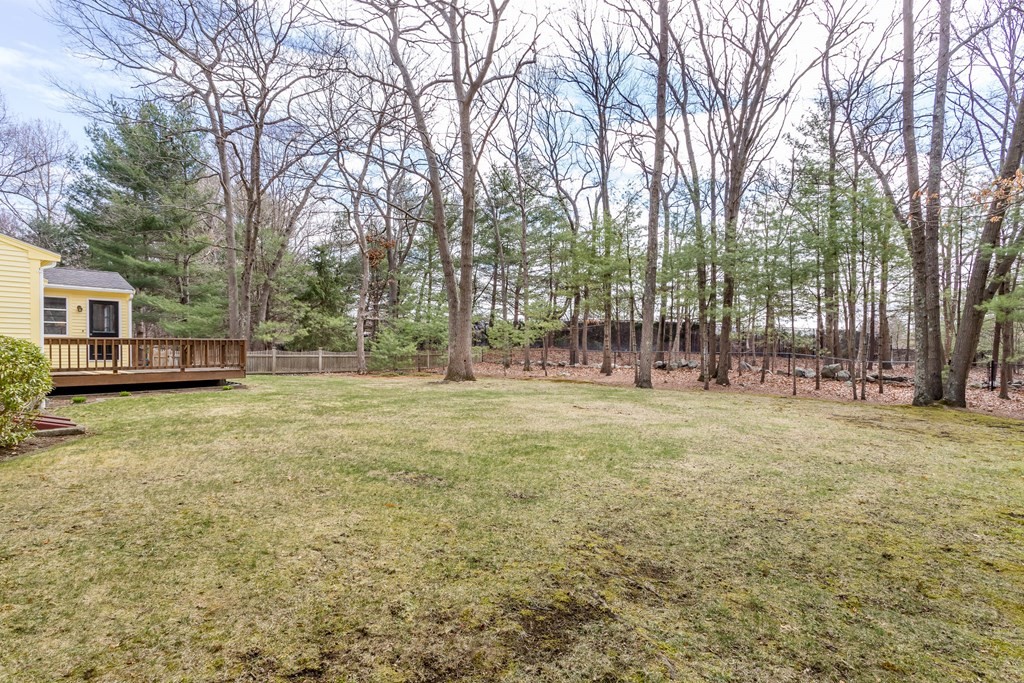 49 Angela Street Canton, MA 02021 - Photo 24 of 25 a view of outdoor space with deck and tree