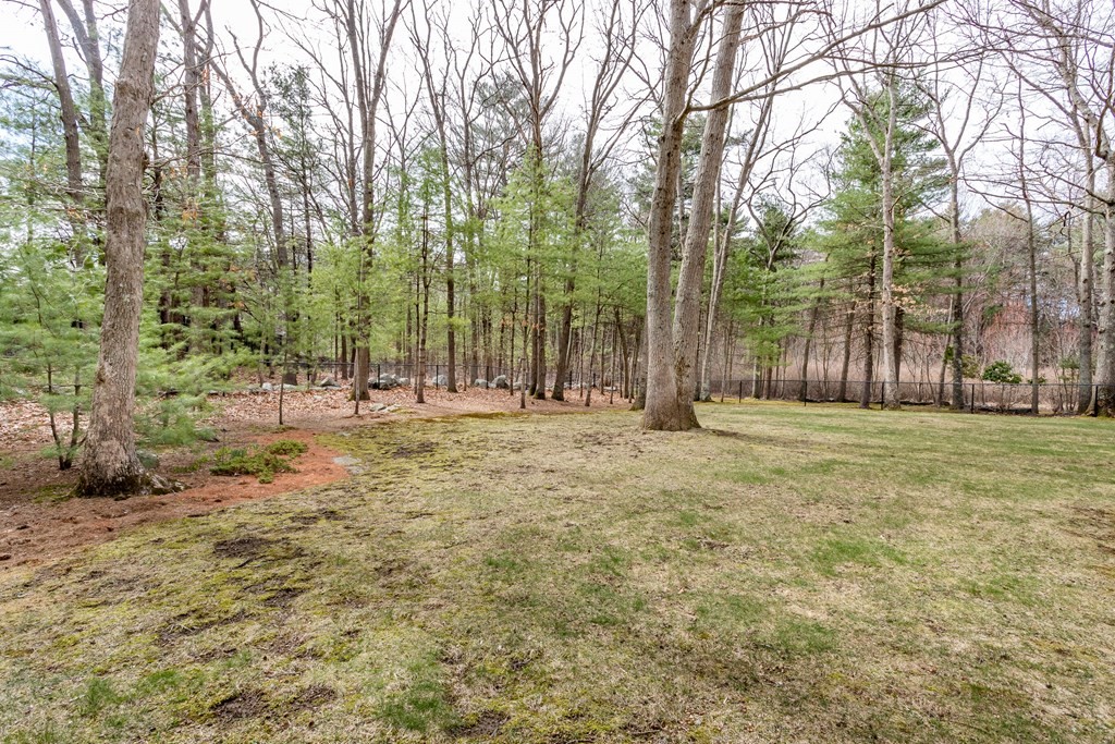 49 Angela Street Canton, MA 02021 - Photo 25 of 25 a view of outdoor space with trees