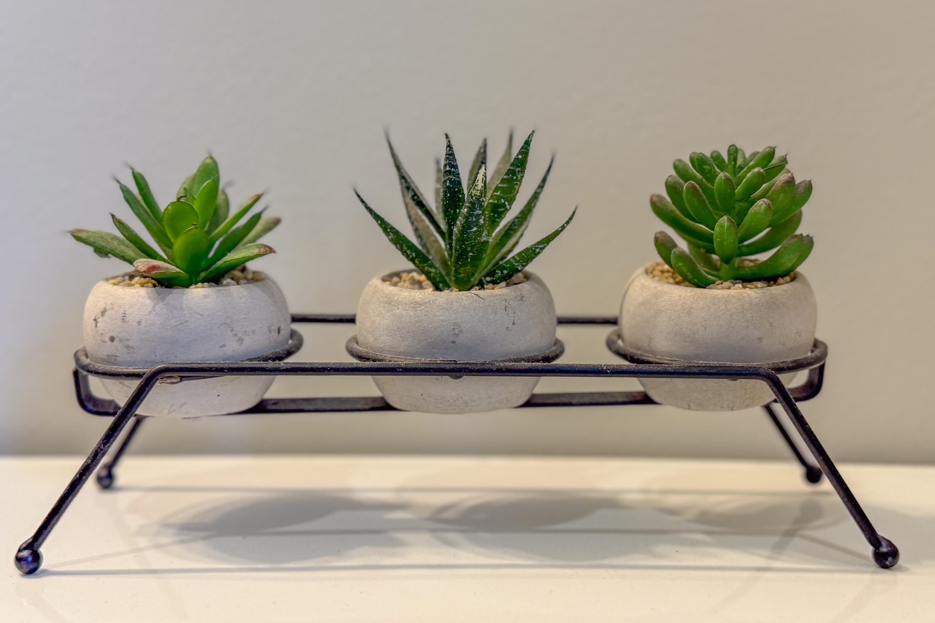 527 NW Road Canterbury, NH 03224 - Photo 24 of 34