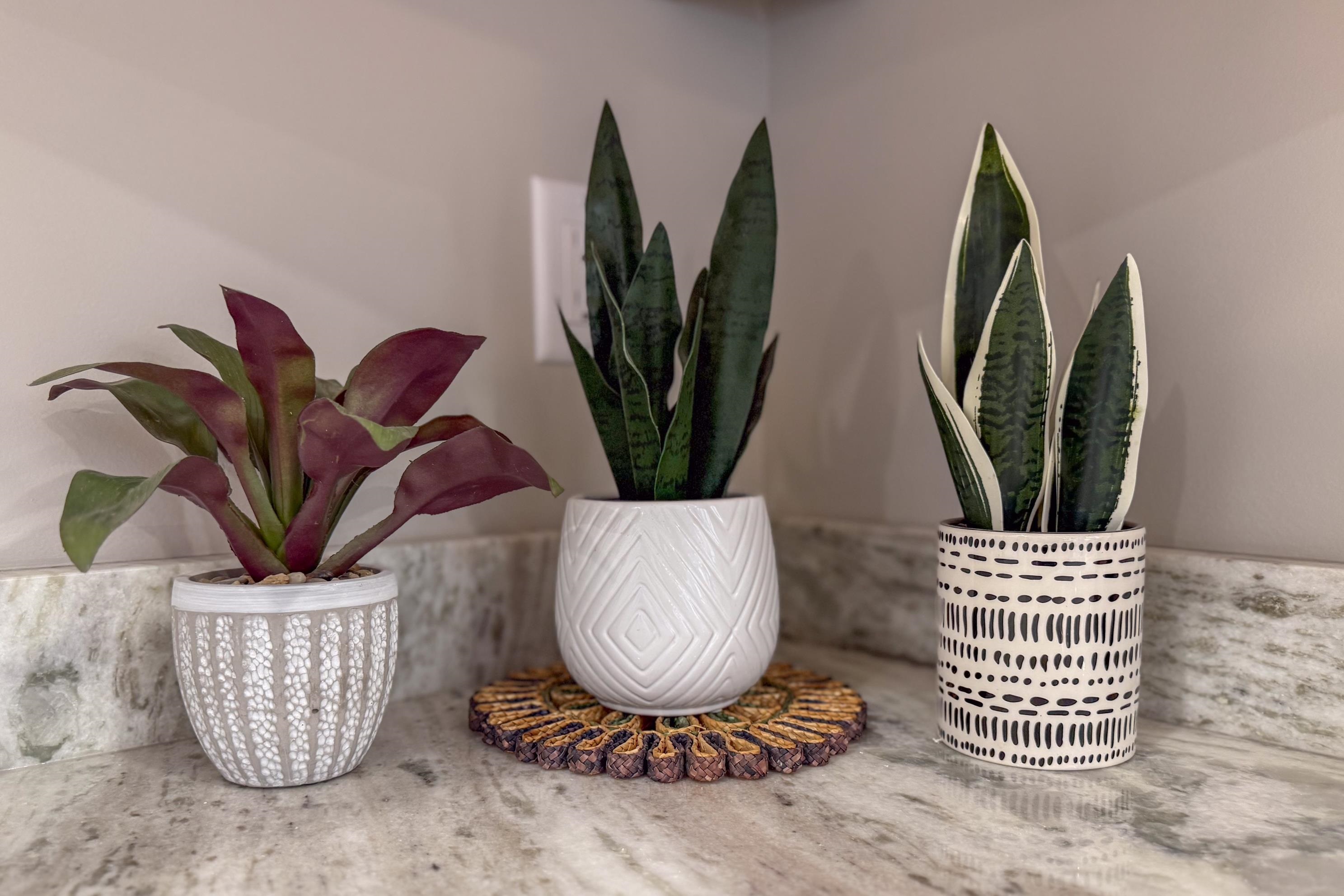 527 NW Road Canterbury, NH 03224 - Photo 7 of 34